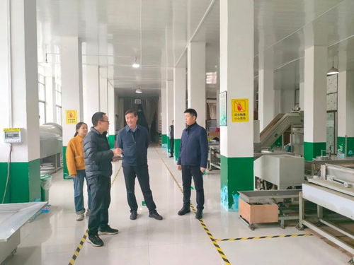 安康市農(nóng)技中心赴鎮(zhèn)坪開(kāi)展春茶生產(chǎn)指導(dǎo)服務(wù)及信息技術(shù)咨詢